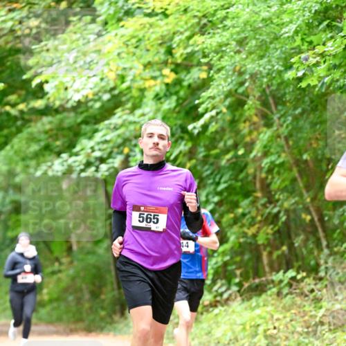 11.10.2026 - Bramfelder Halbmarathon 2026 Dr. Thomas Lammeyer http://msf.ph/oto/10821417 11.10.2026 10:27:00 Laufen 565, 87, 44 meine-sportfotos.de