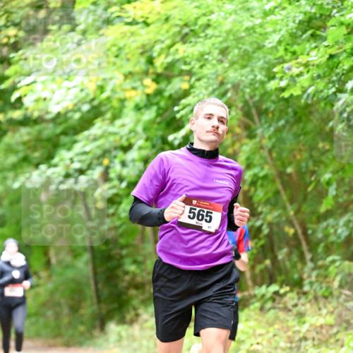 11.10.2026 - Bramfelder Halbmarathon 2026 Dr. Thomas Lammeyer http://msf.ph/oto/10821421 11.10.2026 10:27:00 Laufen 565, 87 meine-sportfotos.de