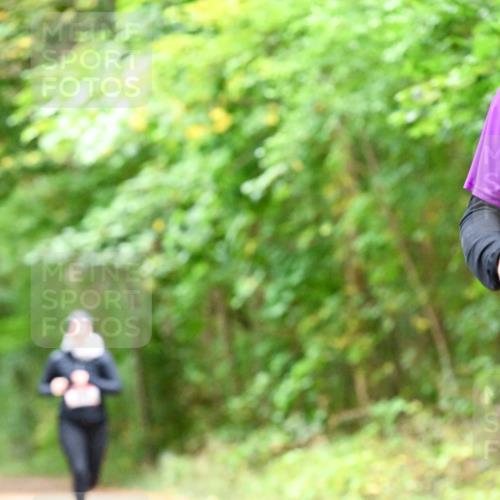 11.10.2026 - Bramfelder Halbmarathon 2026 Dr. Thomas Lammeyer http://msf.ph/oto/10821427 11.10.2026 10:27:01 Laufen  meine-sportfotos.de