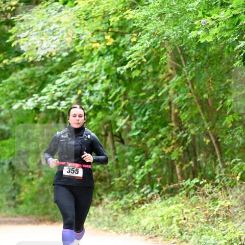 11.10.2026 - Bramfelder Halbmarathon 2026 Dr. Thomas Lammeyer http://msf.ph/oto/10821460 11.10.2026 10:27:21 Laufen 355 meine-sportfotos.de