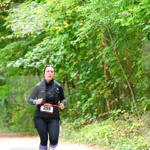 11.10.2026 - Bramfelder Halbmarathon 2026 Dr. Thomas Lammeyer http://msf.ph/oto/10821461 11.10.2026 10:27:21 Laufen 355 meine-sportfotos.de