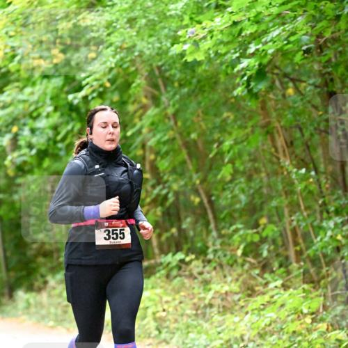 11.10.2026 - Bramfelder Halbmarathon 2026 Dr. Thomas Lammeyer http://msf.ph/oto/10821468 11.10.2026 10:27:22 Laufen 355 meine-sportfotos.de