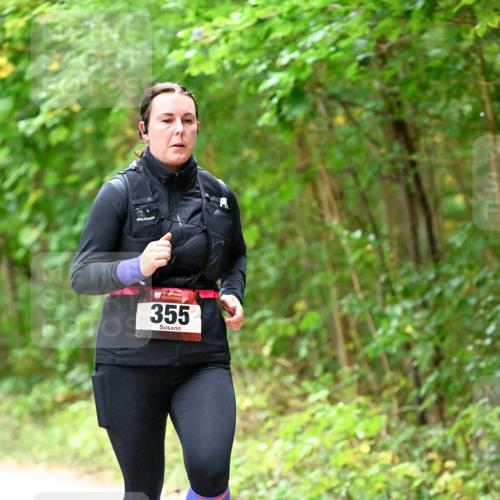 11.10.2026 - Bramfelder Halbmarathon 2026 Dr. Thomas Lammeyer http://msf.ph/oto/10821472 11.10.2026 10:27:22 Laufen 355 meine-sportfotos.de
