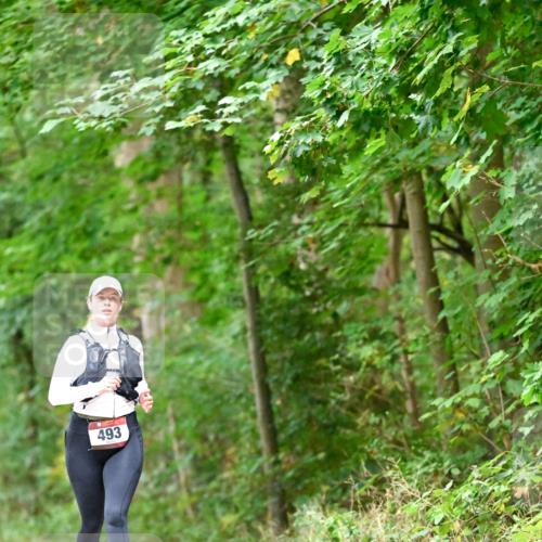 11.10.2026 - Bramfelder Halbmarathon 2026 Dr. Thomas Lammeyer http://msf.ph/oto/10821529 11.10.2026 10:28:06 Laufen 493 meine-sportfotos.de