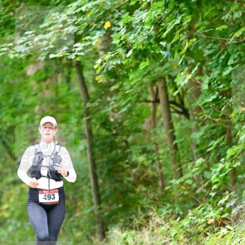 11.10.2026 - Bramfelder Halbmarathon 2026 Dr. Thomas Lammeyer http://msf.ph/oto/10821536 11.10.2026 10:28:07 Laufen 493 meine-sportfotos.de
