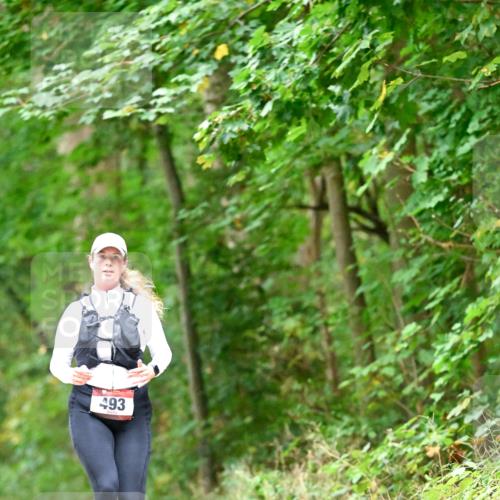 11.10.2026 - Bramfelder Halbmarathon 2026 Dr. Thomas Lammeyer http://msf.ph/oto/10821538 11.10.2026 10:28:07 Laufen 493 meine-sportfotos.de