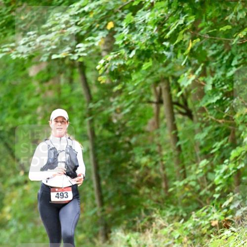 11.10.2026 - Bramfelder Halbmarathon 2026 Dr. Thomas Lammeyer http://msf.ph/oto/10821539 11.10.2026 10:28:07 Laufen 493 meine-sportfotos.de