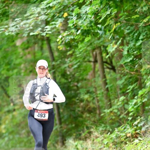 11.10.2026 - Bramfelder Halbmarathon 2026 Dr. Thomas Lammeyer http://msf.ph/oto/10821542 11.10.2026 10:28:08 Laufen 493 meine-sportfotos.de