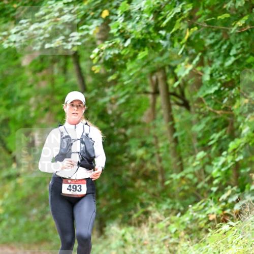 11.10.2026 - Bramfelder Halbmarathon 2026 Dr. Thomas Lammeyer http://msf.ph/oto/10821544 11.10.2026 10:28:08 Laufen 493 meine-sportfotos.de