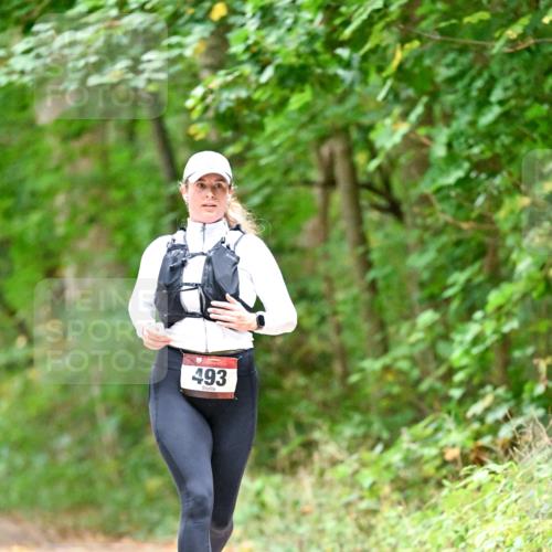 11.10.2026 - Bramfelder Halbmarathon 2026 Dr. Thomas Lammeyer http://msf.ph/oto/10821548 11.10.2026 10:28:08 Laufen 493 meine-sportfotos.de