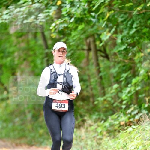 11.10.2026 - Bramfelder Halbmarathon 2026 Dr. Thomas Lammeyer http://msf.ph/oto/10821549 11.10.2026 10:28:09 Laufen 493 meine-sportfotos.de