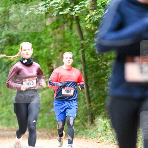 11.10.2026 - Bramfelder Halbmarathon 2026 Dr. Thomas Lammeyer http://msf.ph/oto/10821569 11.10.2026 10:28:13 Laufen 625, 409 meine-sportfotos.de