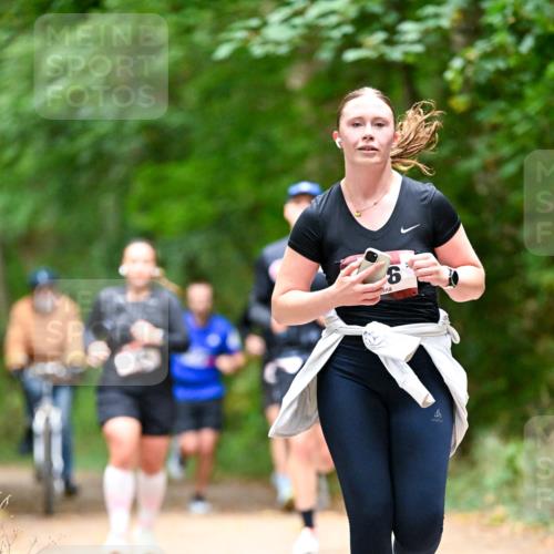 11.10.2026 - Bramfelder Halbmarathon 2026 Dr. Thomas Lammeyer http://msf.ph/oto/10821810 11.10.2026 10:29:59 Laufen 6 meine-sportfotos.de