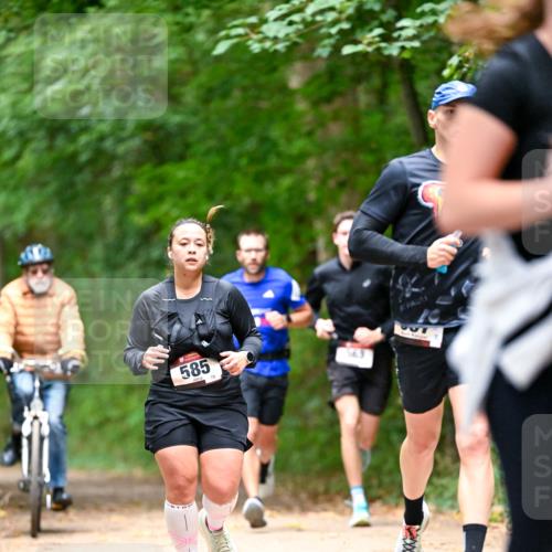11.10.2026 - Bramfelder Halbmarathon 2026 Dr. Thomas Lammeyer http://msf.ph/oto/10821821 11.10.2026 10:30:01 Laufen 585, 75 meine-sportfotos.de