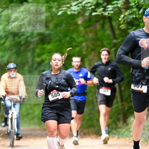 11.10.2026 - Bramfelder Halbmarathon 2026 Dr. Thomas Lammeyer http://msf.ph/oto/10821826 11.10.2026 10:30:01 Laufen 585, 75, 007 meine-sportfotos.de