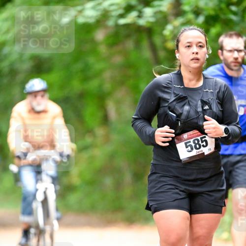 11.10.2026 - Bramfelder Halbmarathon 2026 Dr. Thomas Lammeyer http://msf.ph/oto/10821836 11.10.2026 10:30:04 Laufen 35, 585, 75 meine-sportfotos.de
