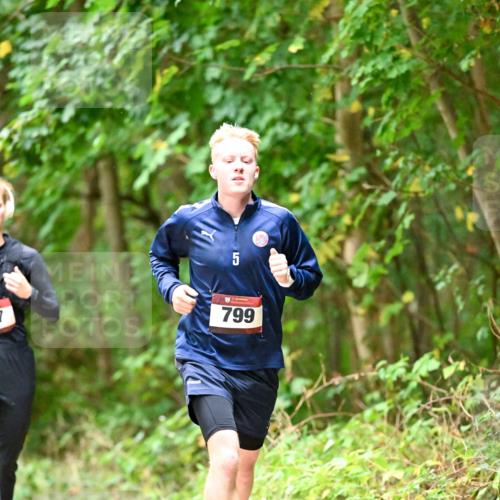 11.10.2026 - Bramfelder Halbmarathon 2026 Dr. Thomas Lammeyer http://msf.ph/oto/10821915 11.10.2026 10:30:44 Laufen 5, 7, 799 meine-sportfotos.de