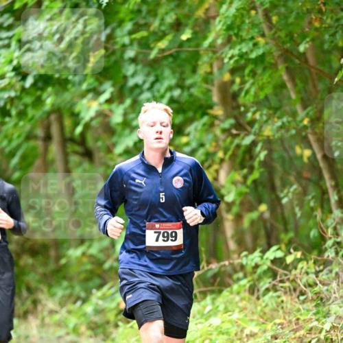 11.10.2026 - Bramfelder Halbmarathon 2026 Dr. Thomas Lammeyer http://msf.ph/oto/10821916 11.10.2026 10:30:44 Laufen 5, 799 meine-sportfotos.de