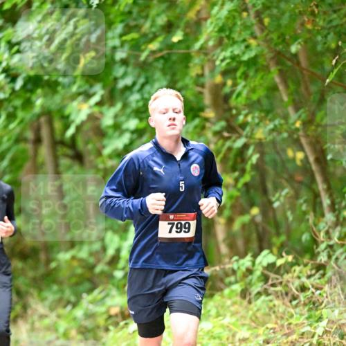 11.10.2026 - Bramfelder Halbmarathon 2026 Dr. Thomas Lammeyer http://msf.ph/oto/10821917 11.10.2026 10:30:44 Laufen 5, 799 meine-sportfotos.de