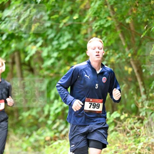 11.10.2026 - Bramfelder Halbmarathon 2026 Dr. Thomas Lammeyer http://msf.ph/oto/10821919 11.10.2026 10:30:44 Laufen 7, 5, 799 meine-sportfotos.de