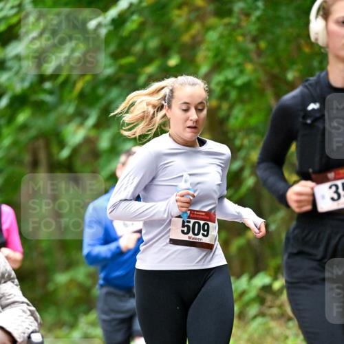 11.10.2026 - Bramfelder Halbmarathon 2026 Dr. Thomas Lammeyer http://msf.ph/oto/10821935 11.10.2026 10:30:48 Laufen 35, 509, 35 meine-sportfotos.de