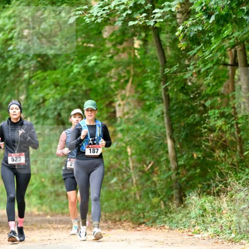 11.10.2026 - Bramfelder Halbmarathon 2026 Dr. Thomas Lammeyer http://msf.ph/oto/10822140 11.10.2026 10:32:24 Laufen 523, 21, 187 meine-sportfotos.de