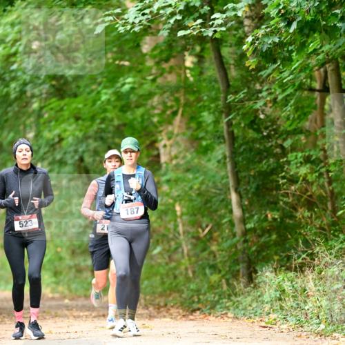 11.10.2026 - Bramfelder Halbmarathon 2026 Dr. Thomas Lammeyer http://msf.ph/oto/10822142 11.10.2026 10:32:24 Laufen 523, 21, 187 meine-sportfotos.de