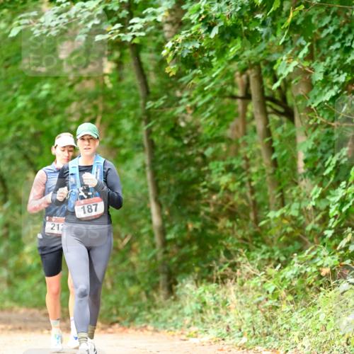 11.10.2026 - Bramfelder Halbmarathon 2026 Dr. Thomas Lammeyer http://msf.ph/oto/10822150 11.10.2026 10:32:25 Laufen 212, 187 meine-sportfotos.de