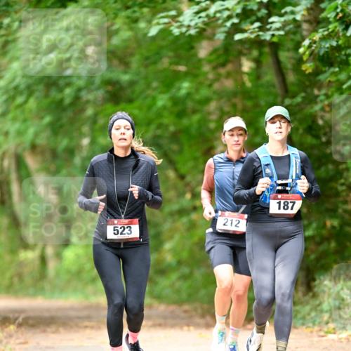 11.10.2026 - Bramfelder Halbmarathon 2026 Dr. Thomas Lammeyer http://msf.ph/oto/10822155 11.10.2026 10:32:27 Laufen 523, 212, 187 meine-sportfotos.de