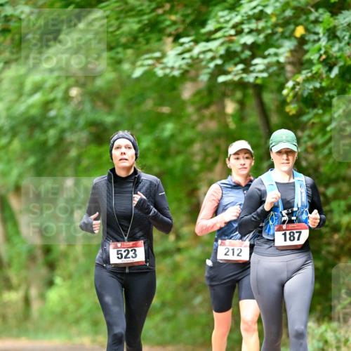 11.10.2026 - Bramfelder Halbmarathon 2026 Dr. Thomas Lammeyer http://msf.ph/oto/10822159 11.10.2026 10:32:27 Laufen 523, 212, 187 meine-sportfotos.de