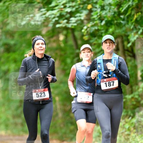 11.10.2026 - Bramfelder Halbmarathon 2026 Dr. Thomas Lammeyer http://msf.ph/oto/10822165 11.10.2026 10:32:28 Laufen 523, 187 meine-sportfotos.de