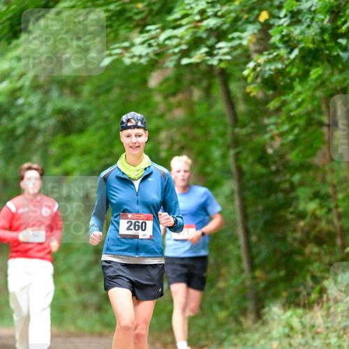 11.10.2026 - Bramfelder Halbmarathon 2026 Dr. Thomas Lammeyer http://msf.ph/oto/10822199 11.10.2026 10:33:18 Laufen 260, 280 meine-sportfotos.de
