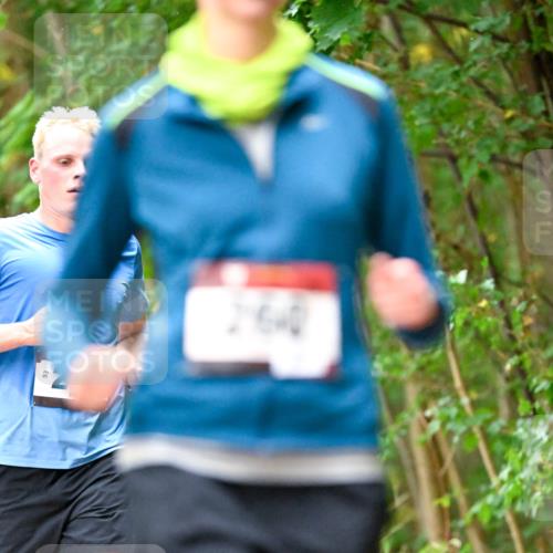 11.10.2026 - Bramfelder Halbmarathon 2026 Dr. Thomas Lammeyer http://msf.ph/oto/10822212 11.10.2026 10:33:22 Laufen 640 meine-sportfotos.de
