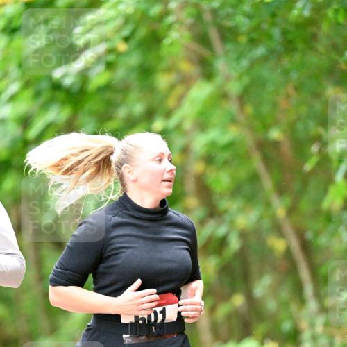 11.10.2026 - Bramfelder Halbmarathon 2026 Dr. Thomas Lammeyer http://msf.ph/oto/10822221 11.10.2026 10:33:40 Laufen  meine-sportfotos.de