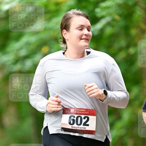 11.10.2026 - Bramfelder Halbmarathon 2026 Dr. Thomas Lammeyer http://msf.ph/oto/10822225 11.10.2026 10:33:40 Laufen 35, 602 meine-sportfotos.de