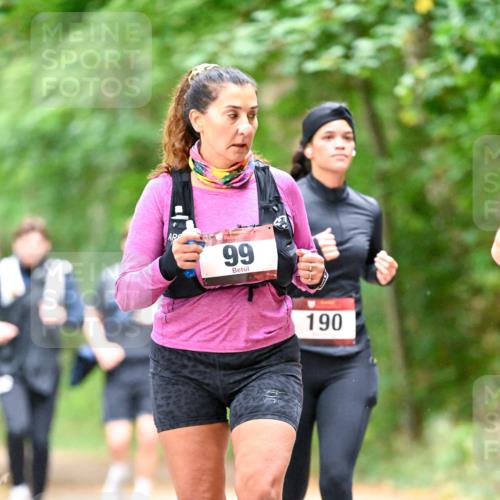 11.10.2026 - Bramfelder Halbmarathon 2026 Dr. Thomas Lammeyer http://msf.ph/oto/10822280 11.10.2026 10:33:55 Laufen 99, 190 meine-sportfotos.de