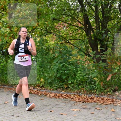 11.10.2026 - Bramfelder Halbmarathon 2026 J. Mangold http://msf.ph/oto/10822303 11.10.2026 10:13:05 Laufen 479, 547 meine-sportfotos.de