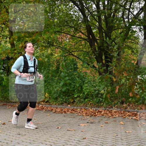 11.10.2026 - Bramfelder Halbmarathon 2026 J. Mangold http://msf.ph/oto/10822321 11.10.2026 10:13:54 Laufen 214, 319, 439 meine-sportfotos.de