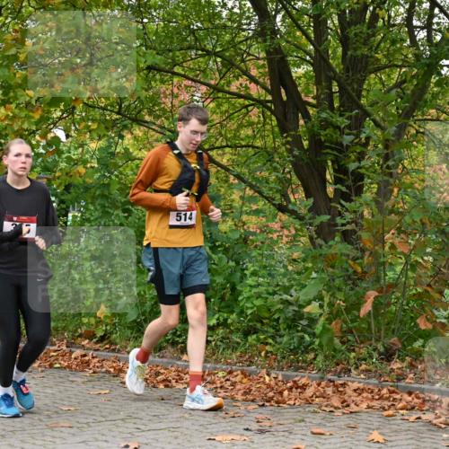 11.10.2026 - Bramfelder Halbmarathon 2026 J. Mangold http://msf.ph/oto/10822363 11.10.2026 10:14:35 Laufen 132, 365, 401, 435, 514 meine-sportfotos.de