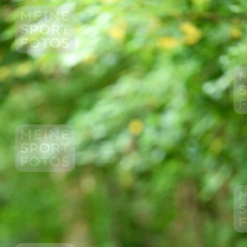 11.10.2026 - Bramfelder Halbmarathon 2026 Dr. Thomas Lammeyer http://msf.ph/oto/10822398 11.10.2026 10:34:16 Laufen  meine-sportfotos.de
