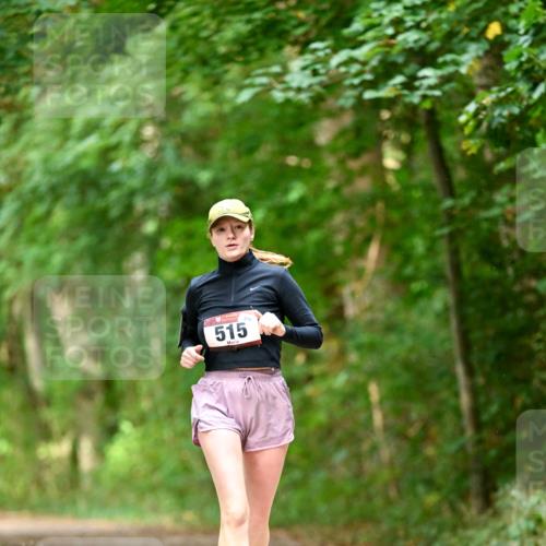 11.10.2026 - Bramfelder Halbmarathon 2026 Dr. Thomas Lammeyer http://msf.ph/oto/10822401 11.10.2026 10:34:24 Laufen 515 meine-sportfotos.de