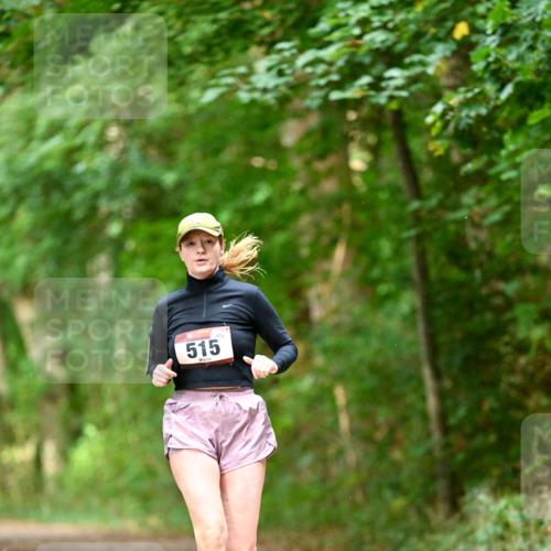 11.10.2026 - Bramfelder Halbmarathon 2026 Dr. Thomas Lammeyer http://msf.ph/oto/10822403 11.10.2026 10:34:24 Laufen 515 meine-sportfotos.de