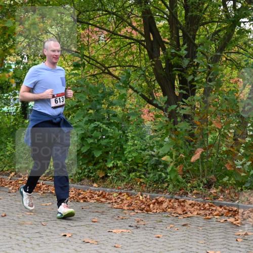 11.10.2026 - Bramfelder Halbmarathon 2026 J. Mangold http://msf.ph/oto/10822407 11.10.2026 10:15:36 Laufen 53, 354, 590, 613, 778 meine-sportfotos.de