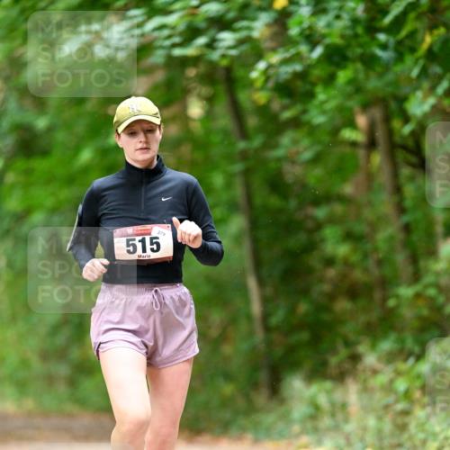 11.10.2026 - Bramfelder Halbmarathon 2026 Dr. Thomas Lammeyer http://msf.ph/oto/10822424 11.10.2026 10:34:25 Laufen 279, 515 meine-sportfotos.de