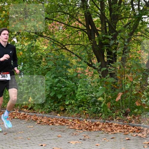 11.10.2026 - Bramfelder Halbmarathon 2026 J. Mangold http://msf.ph/oto/10822439 11.10.2026 10:16:38 Laufen 191, 363 meine-sportfotos.de