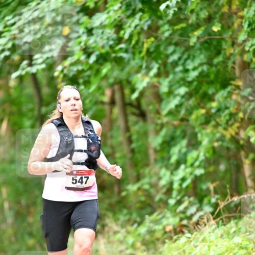 11.10.2026 - Bramfelder Halbmarathon 2026 Dr. Thomas Lammeyer http://msf.ph/oto/10822534 11.10.2026 10:35:18 Laufen 547 meine-sportfotos.de