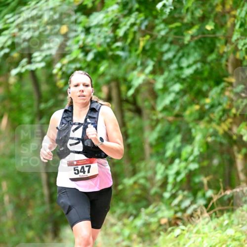 11.10.2026 - Bramfelder Halbmarathon 2026 Dr. Thomas Lammeyer http://msf.ph/oto/10822535 11.10.2026 10:35:18 Laufen 547 meine-sportfotos.de