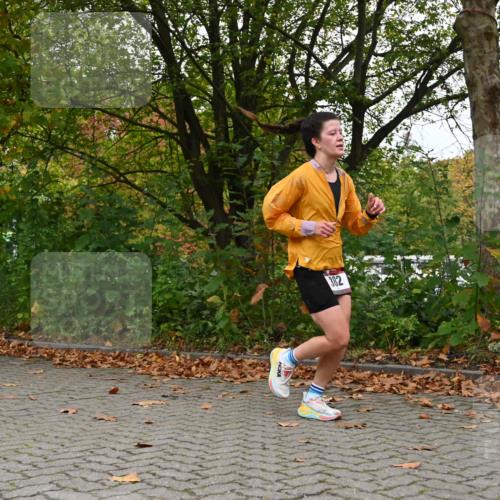 11.10.2026 - Bramfelder Halbmarathon 2026 J. Mangold http://msf.ph/oto/10822536 11.10.2026 10:18:34 Laufen 382 meine-sportfotos.de