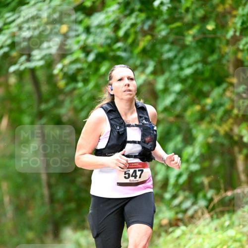11.10.2026 - Bramfelder Halbmarathon 2026 Dr. Thomas Lammeyer http://msf.ph/oto/10822543 11.10.2026 10:35:19 Laufen 547 meine-sportfotos.de