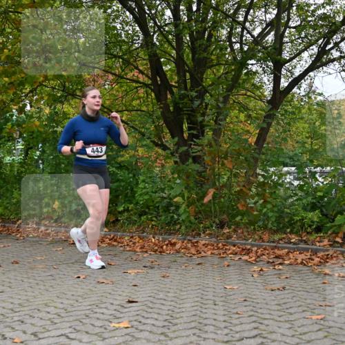 11.10.2026 - Bramfelder Halbmarathon 2026 J. Mangold http://msf.ph/oto/10822544 11.10.2026 10:18:49 Laufen 2, 443 meine-sportfotos.de